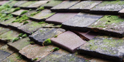 Capel Dewi roof repair costs